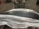 Holden Equinox D2 2017-on Rear Bumper Cover Lower