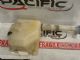 Honda Accord CL7 7th Gen 2002-2008 Front Washer Bottle