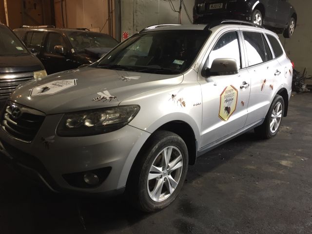 Hyundai Santa Fe SH81 2006-2012